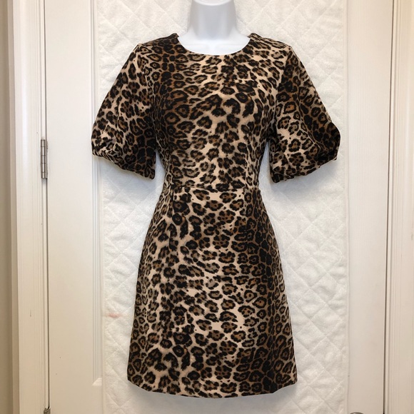 ❤️NEW Animal print Dress - Picture 7 of 8
